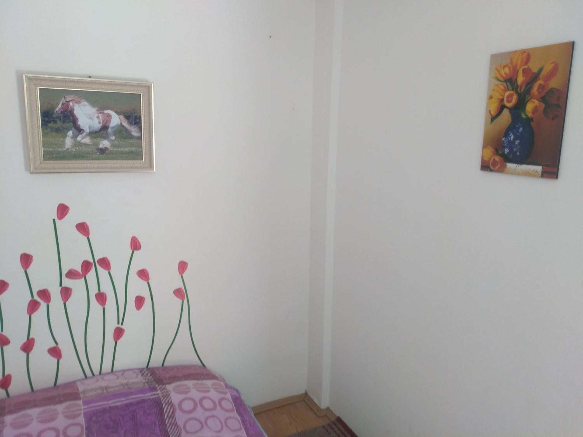 Hostel Trajan Donji Milanovac Eksteriør billede